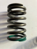 Arctic Cat 3402-144 Valve Springs Bearcat 400cc